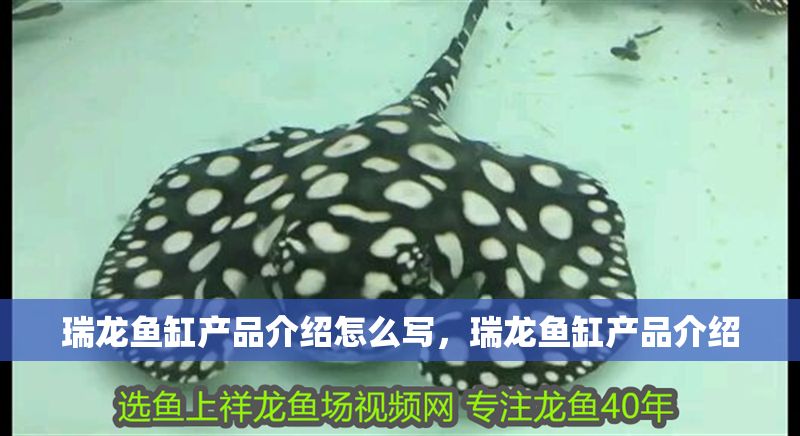 瑞龍魚缸產(chǎn)品介紹怎么寫，瑞龍魚缸產(chǎn)品介紹