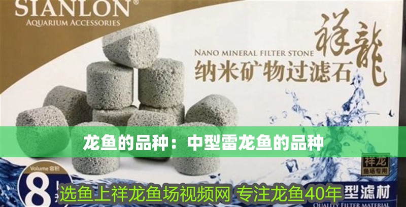 龍魚的品種：中型雷龍魚的品種