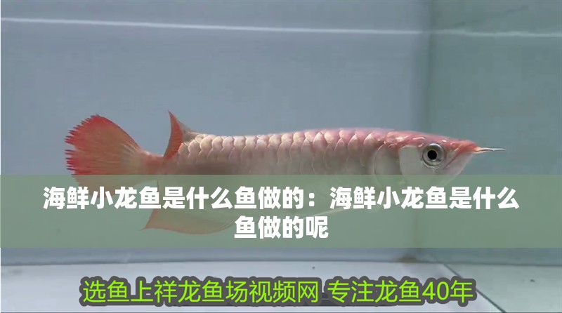 海鮮小龍魚是什么魚做的：海鮮小龍魚是什么魚做的呢