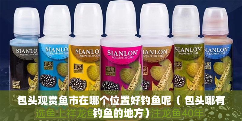 包頭觀賞魚市在哪個位置好釣魚呢（ 包頭哪有釣魚的地方）