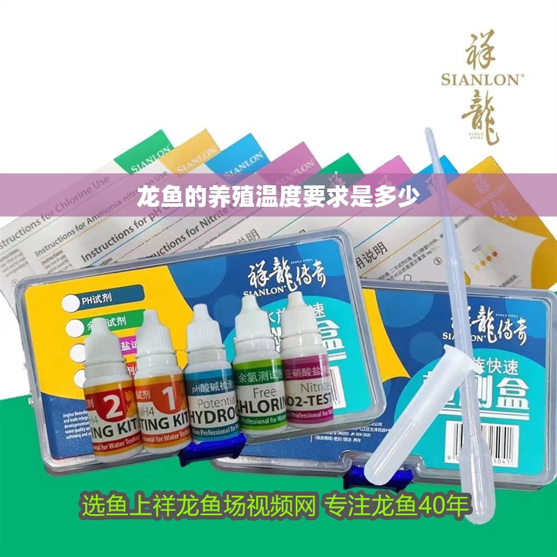 龍魚的養殖溫度要求是多少