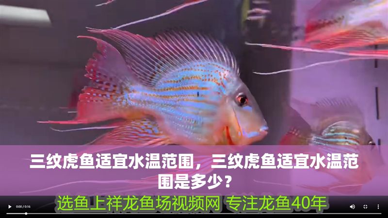 三紋虎魚適宜水溫范圍，三紋虎魚適宜水溫范圍是多少？