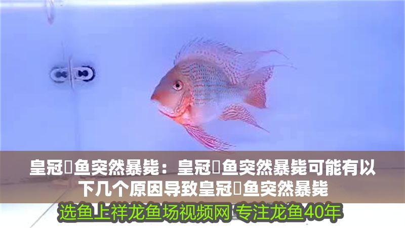 皇冠魟魚突然暴斃：皇冠魟魚突然暴斃可能有以下幾個原因導致皇冠魟魚突然暴斃