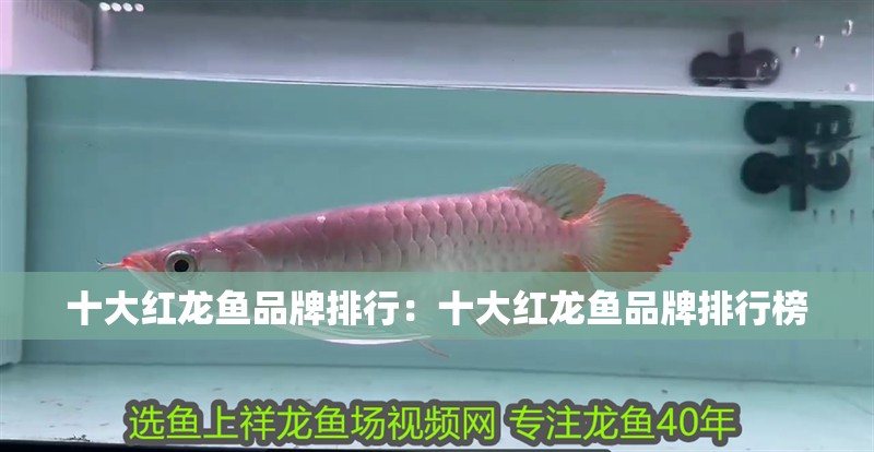 銀龍魚(yú)用什么顏色缸底好看(銀龍魚(yú)用什么顏色缸底好看些)