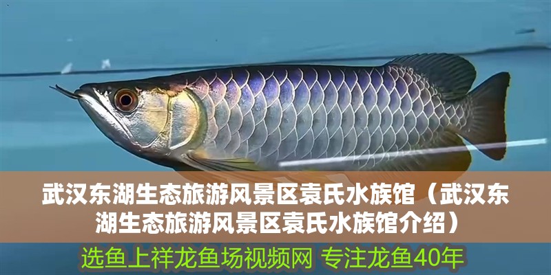 武漢東湖生態旅游風景區袁氏水族館（武漢東湖生態旅游風景區袁氏水族館介紹）