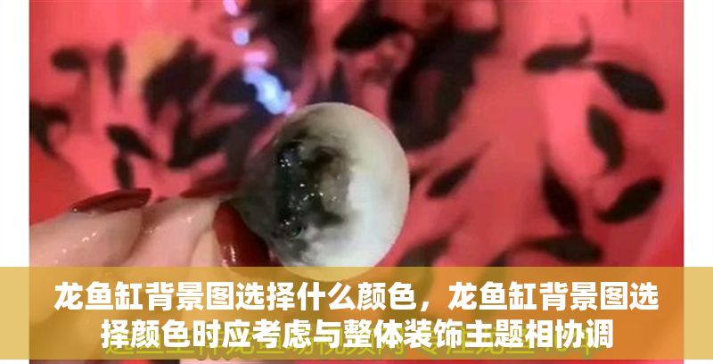 龍魚缸背景圖選擇什么顏色，龍魚缸背景圖選擇顏色時應考慮與整體裝飾主題相協調