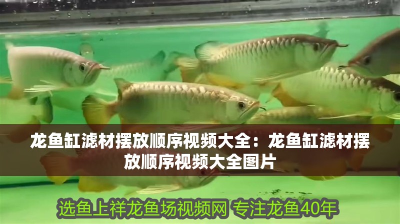 魚缸水質(zhì)穩(wěn)定劑的使用方法圖片視頻講解