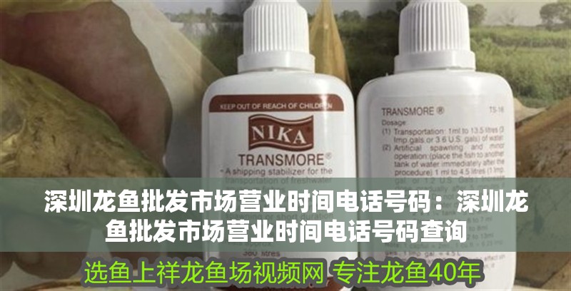 深圳龍魚批發市場營業時間電話號碼：深圳龍魚批發市場營業時間電話號碼查詢