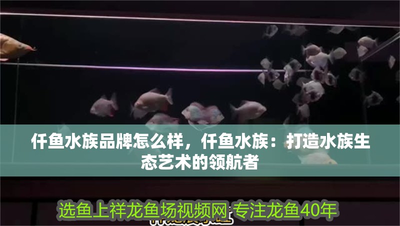 詳細閱讀:仟魚水族品牌怎么樣,仟魚水族:打造水族生態藝術的領航者 仟魚水族品牌怎么樣,仟魚水族:打造水族生態藝術的領航者