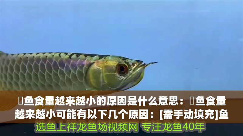 魟魚食量越來越小的原因是什么意思：魟魚食量越來越小可能有以下幾個原因：[需手動填充]魚食量越來越小