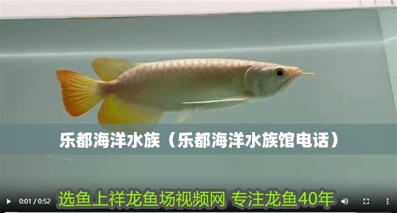 樂都海洋水族（樂都海洋水族館電話）
