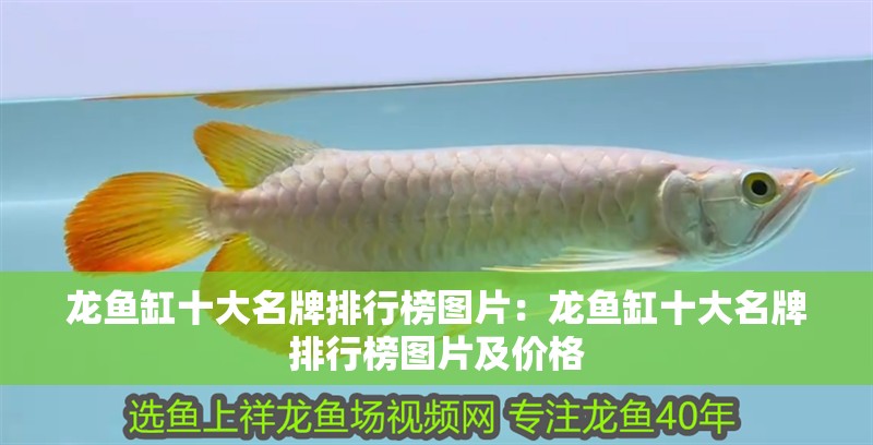 龍魚缸十大名牌排行榜圖片：龍魚缸十大名牌排行榜圖片及價格 龍魚缸十大名牌排行榜圖片：龍魚缸十大名牌排行榜圖片及價格 水族問答