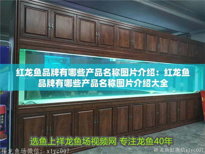 紅龍魚品牌有哪些產(chǎn)品名稱圖片介紹：紅龍魚品牌有哪些產(chǎn)品名稱圖片介紹大全
