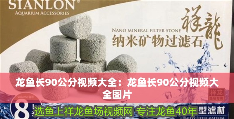 龍魚長90公分視頻大全：龍魚長90公分視頻大全圖片