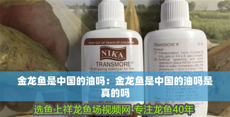 金龍魚是中國的油嗎：金龍魚是中國的油嗎是真的嗎