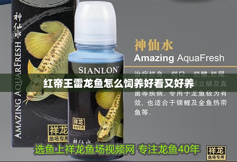 紅帝王雷龍魚怎么飼養好看又好養