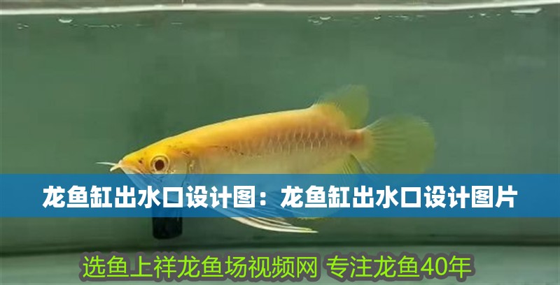 龍魚缸出水口設計圖：龍魚缸出水口設計圖片