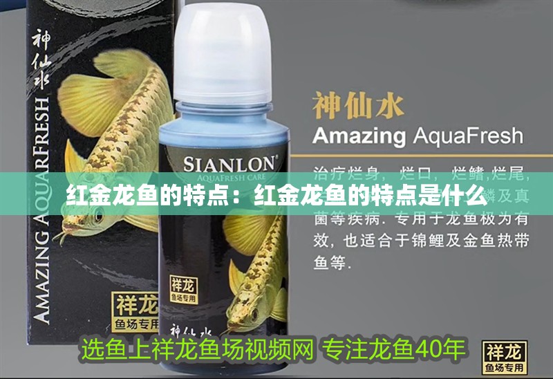 紅金龍魚的特點：紅金龍魚的特點是什么