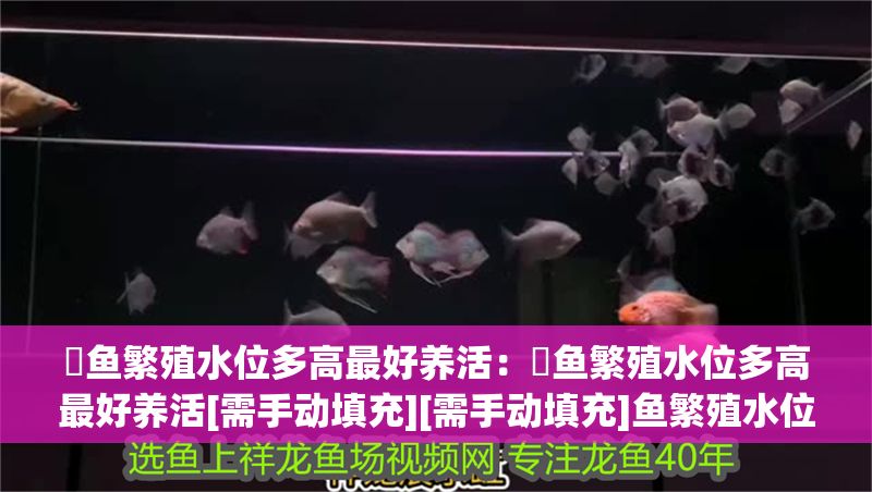 魟魚繁殖水位多高最好養活：魟魚繁殖水位多高最好養活[需手動填充][需手動填充]魚繁殖水位多高最好養活