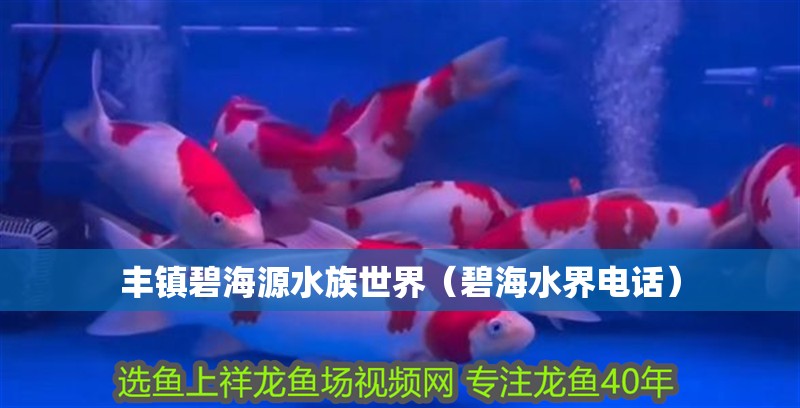 豐鎮(zhèn)碧海源水族世界（碧海水界電話）