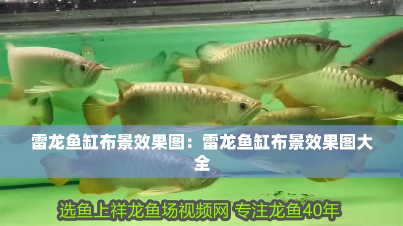 雷龍魚(yú)缸布景效果圖：雷龍魚(yú)缸布景效果圖大全