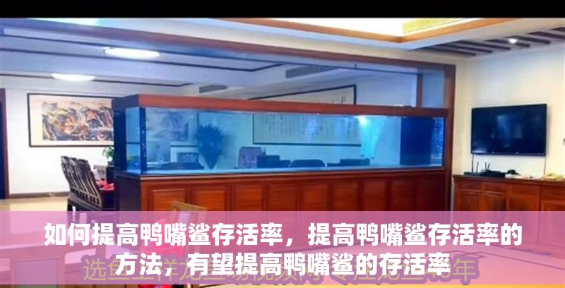 如何提高鴨嘴鯊存活率，提高鴨嘴鯊存活率的方法，有望提高鴨嘴鯊的存活率