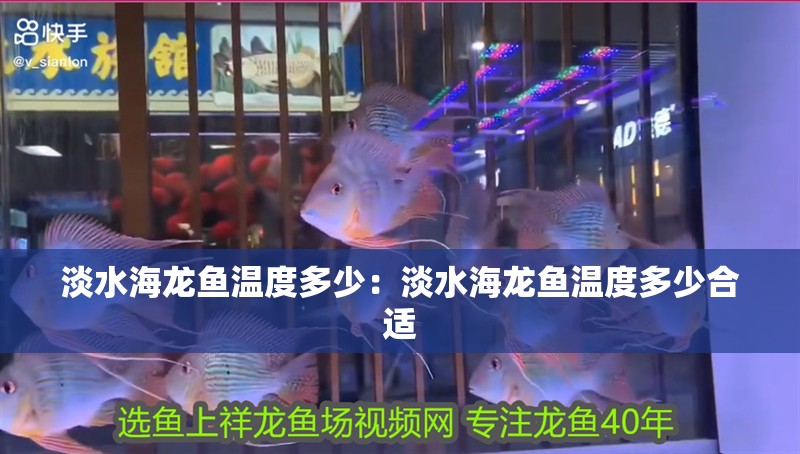 淡水海龍魚溫度多少：淡水海龍魚溫度多少合適