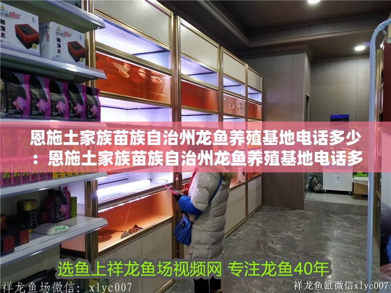 恩施土家族苗族自治州龍魚養殖基地電話多少：恩施土家族苗族自治州龍魚養殖基地電話多少號