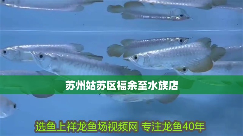 蘇州姑蘇區(qū)福余至水族店