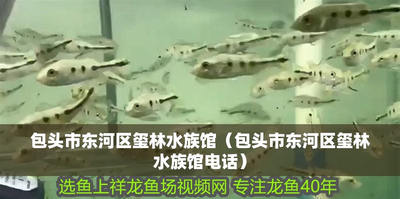 包頭市東河區(qū)璽林水族館（包頭市東河區(qū)璽林水族館電話）