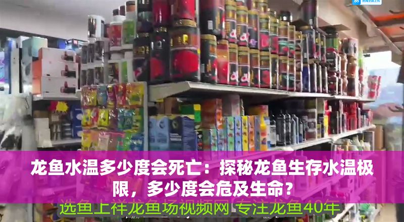 龍魚水溫多少度會死亡：探秘龍魚生存水溫極限，多少度會危及生命？