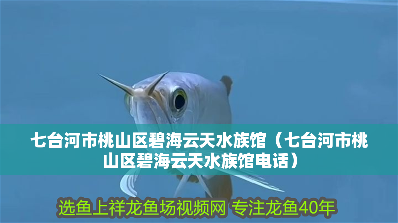 七臺河市桃山區碧海云天水族館（七臺河市桃山區碧海云天水族館電話）