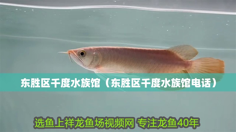 東勝區千度水族館（東勝區千度水族館電話）