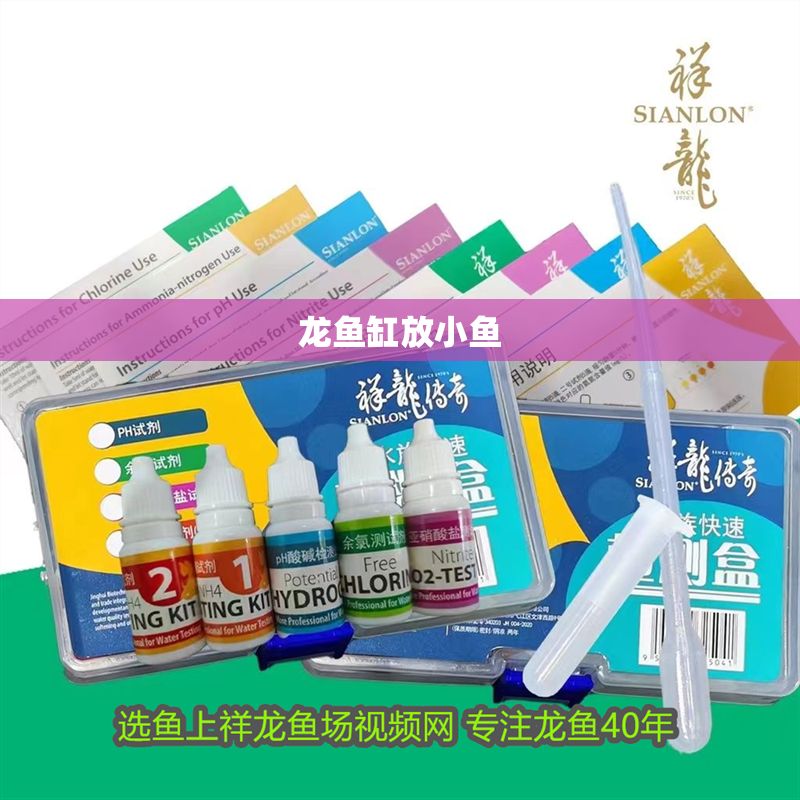 龍魚缸放小魚
