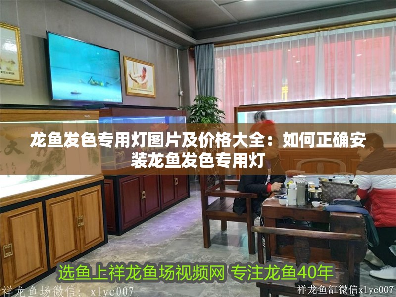 龍魚發(fā)色專用燈圖片及價(jià)格大全：如何正確安裝龍魚發(fā)色專用燈