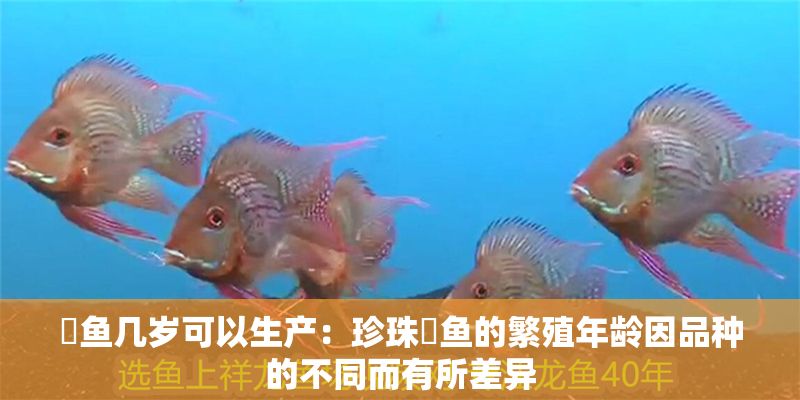 魟魚幾歲可以生產：珍珠魟魚的繁殖年齡因品種的不同而有所差異