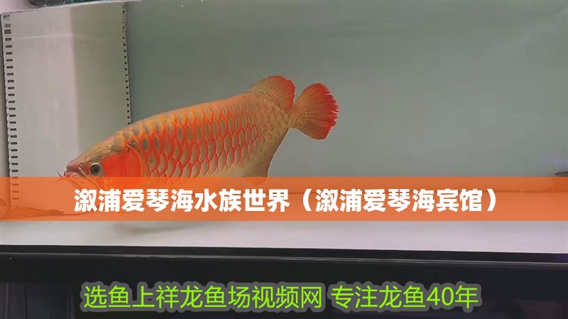 溆浦愛(ài)琴海水族世界（溆浦愛(ài)琴海賓館）