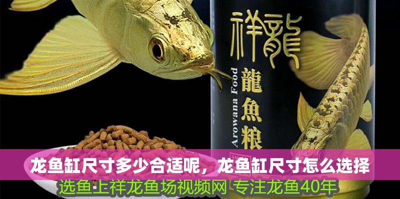 龍魚缸尺寸多少合適呢，龍魚缸尺寸怎么選擇
