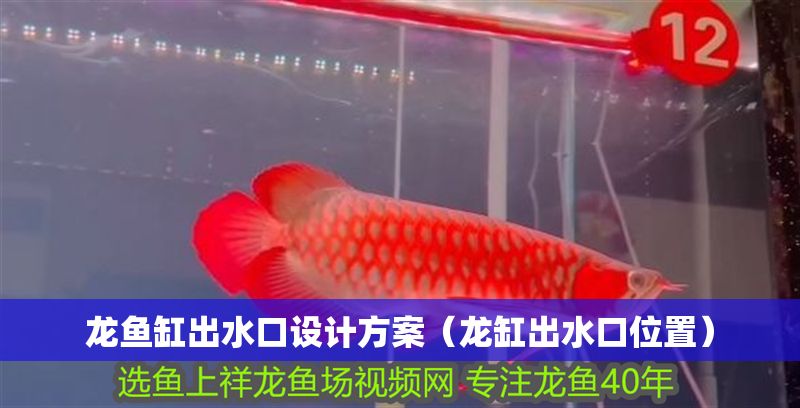 龍魚缸出水口設(shè)計方案（龍缸出水口位置）
