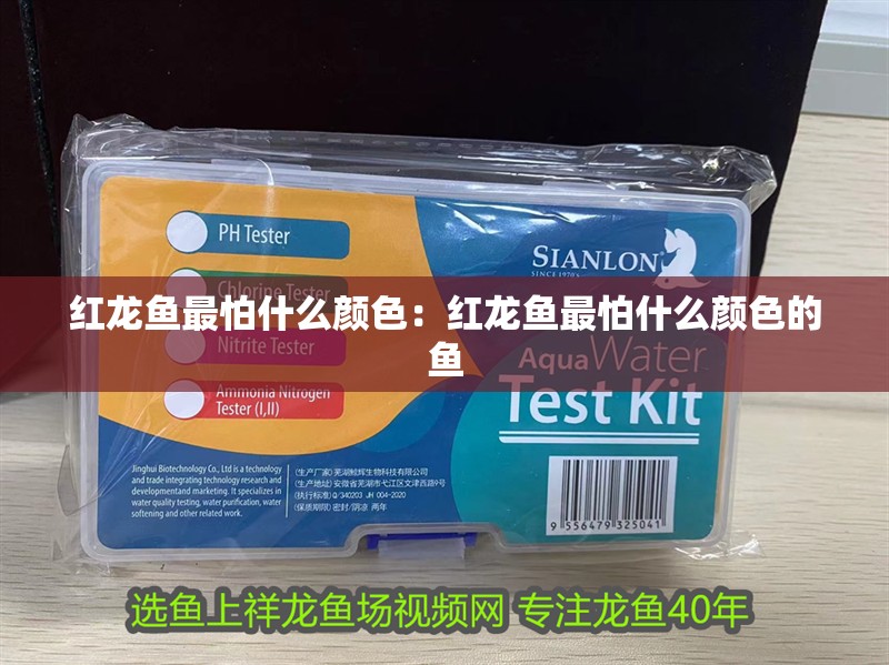 紅龍魚最怕什么顏色：紅龍魚最怕什么顏色的魚