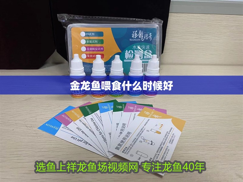 金龍魚喂食什么時候好 龍魚百科 第2張 金龍魚喂食什么時候好 金龍魚喂食什么時候好 龍魚百科 第2張