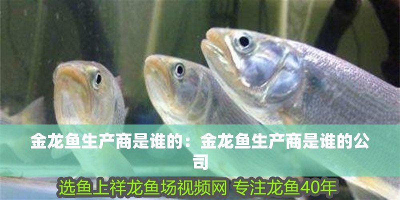 金龍魚生產商是誰的：金龍魚生產商是誰的公司