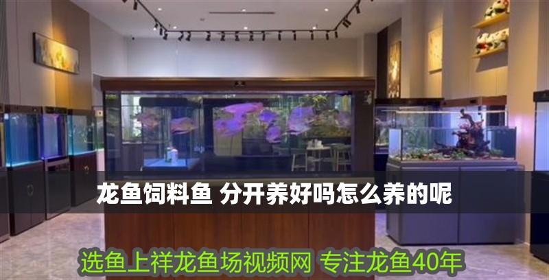 龍魚飼料魚 分開養好嗎怎么養的呢