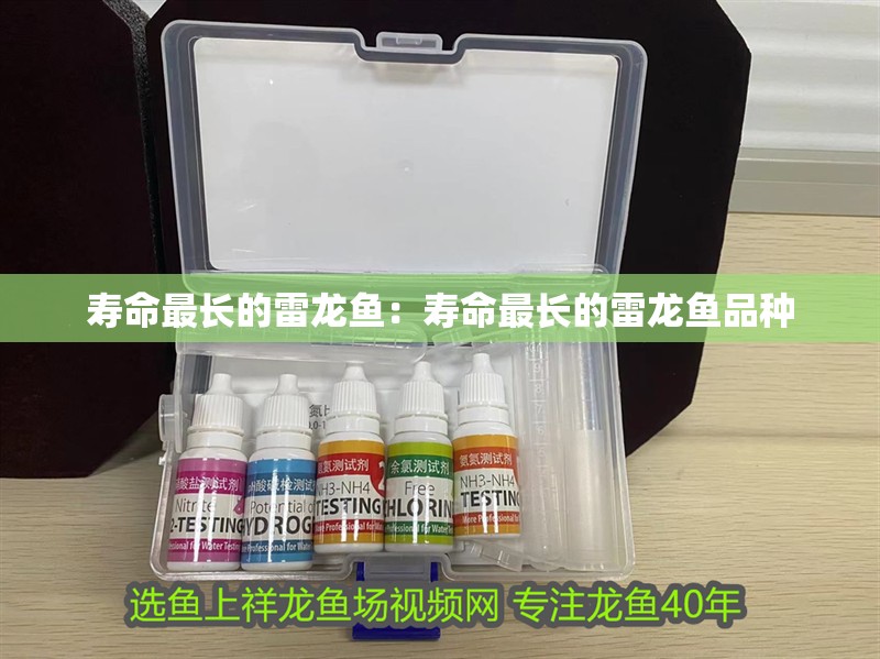 壽命最長的雷龍魚：壽命最長的雷龍魚品種