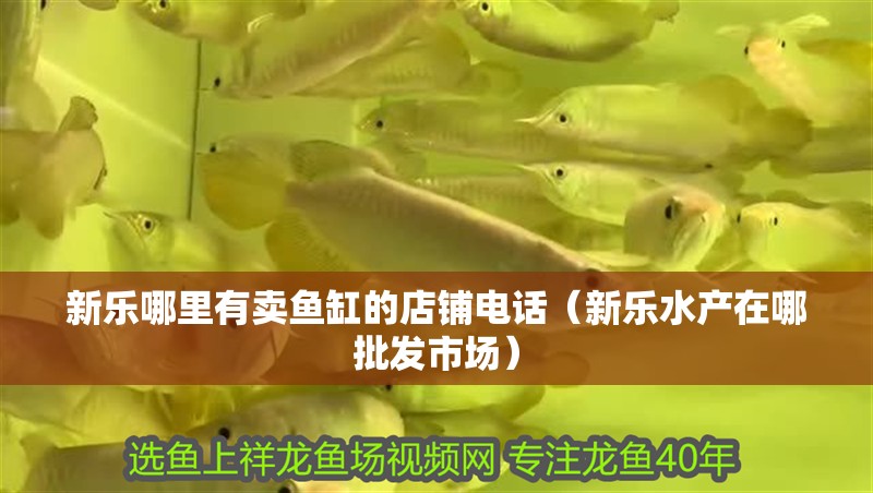 新樂哪里有賣魚缸的店鋪電話（新樂水產在哪批發市場）