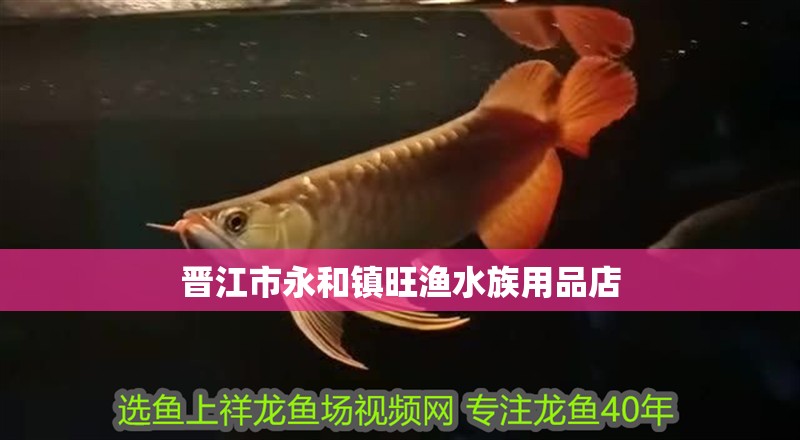 晉江市永和鎮(zhèn)旺漁水族用品店