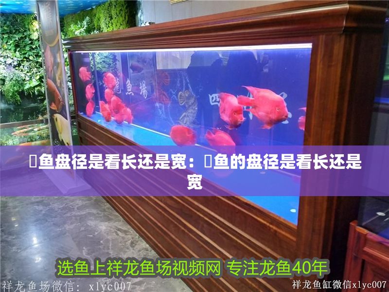 魟魚盤徑是看長還是寬：魟魚的盤徑是看長還是寬