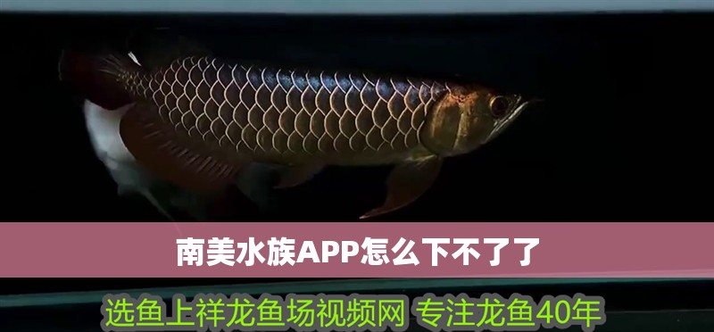 南美水族APP怎么下不了了