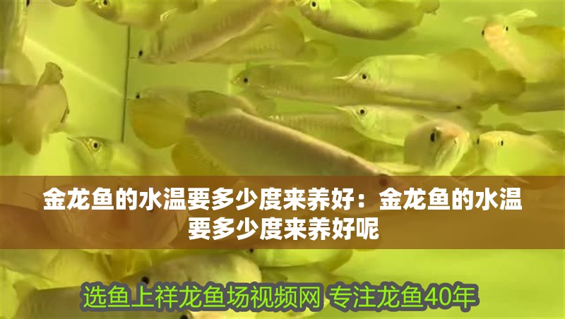 大型魚缸清理視頻：大型魚缸清洗技巧