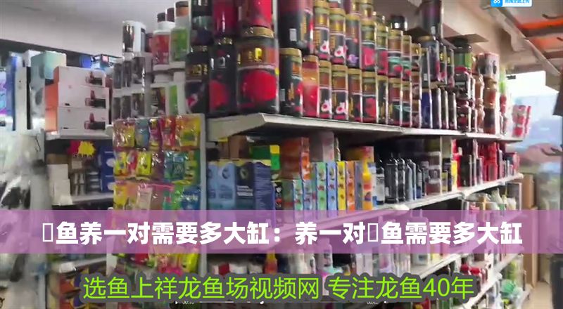 魟魚養(yǎng)一對需要多大缸：養(yǎng)一對魟魚需要多大缸